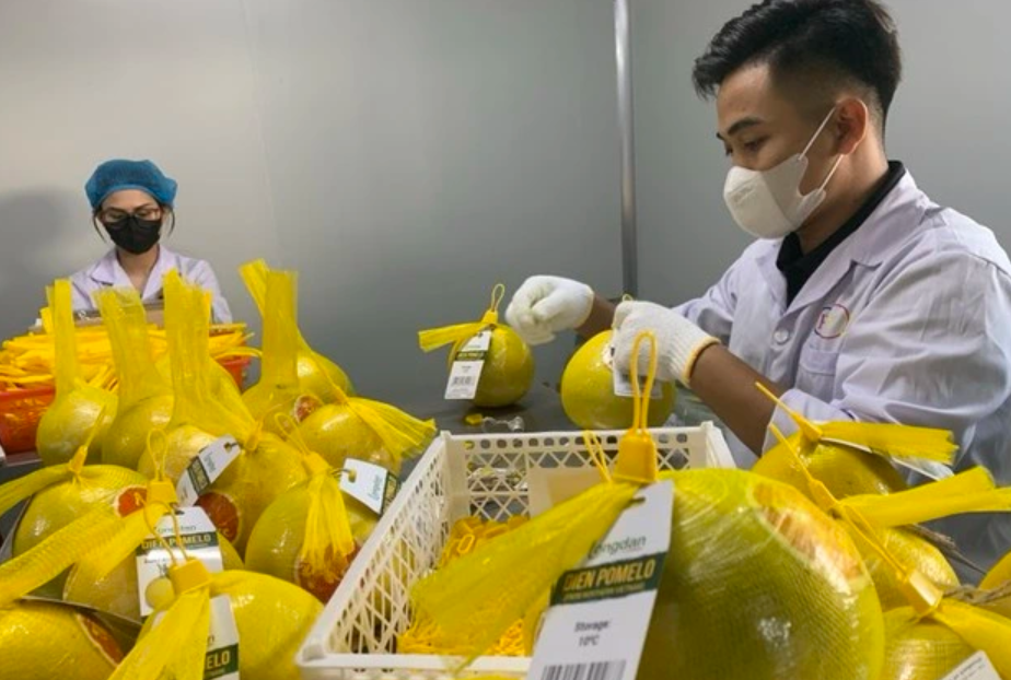 Bắc Ninh số hóa nông sản bằng công nghệ truy xuất nguồn gốc