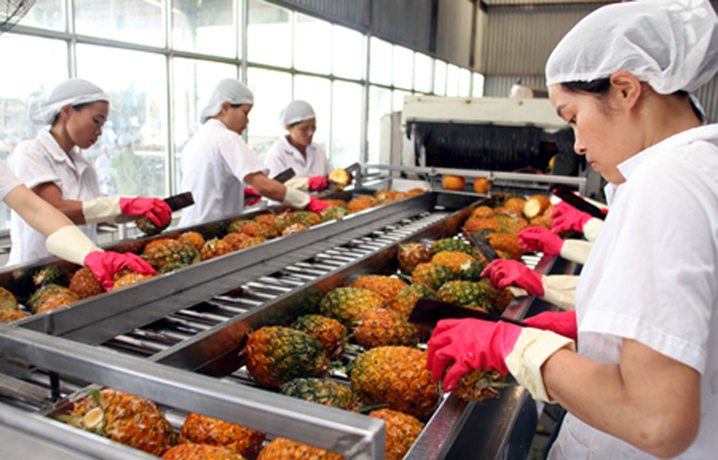 Thái Nguyên: Ứng dụng công nghệ, nâng cao giá trị nông sản địa phương