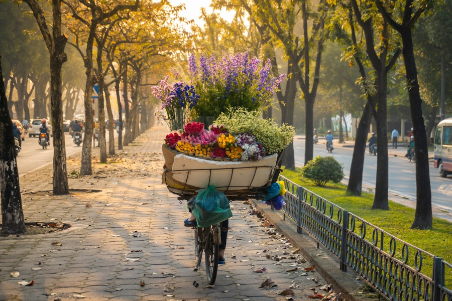 'Mùa thu Hà Nội' nằm trong nhóm 7 điểm đến đẹp nhất châu Á