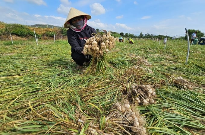 Sơn La: Nâng tầm sản phẩm OCOP đặc trưng