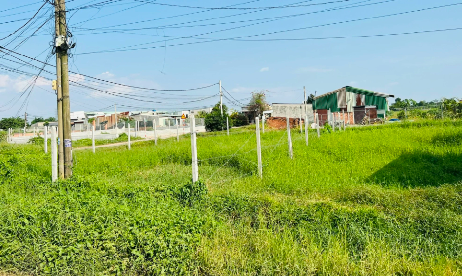  Bộ Nông nghiệp và Môi trường công bố thêm 3 thủ tục về đất đai đối với cấp xã