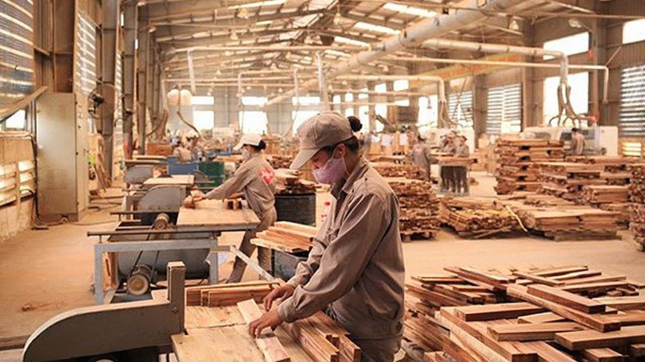 Khai thác hiệu quả tiềm năng trong chế biến nông, lâm sản