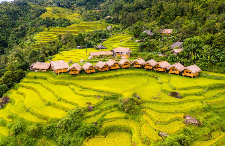 Khám phá Hoàng Su Phì, điểm hẹn lý tưởng trong mùa thu