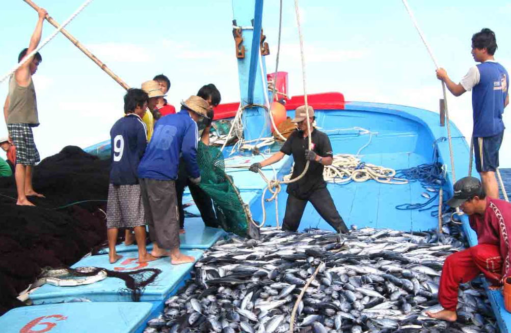 Công nghệ số nâng cao hiệu quả quản lý, minh bạch hóa nguồn gốc thủy sản