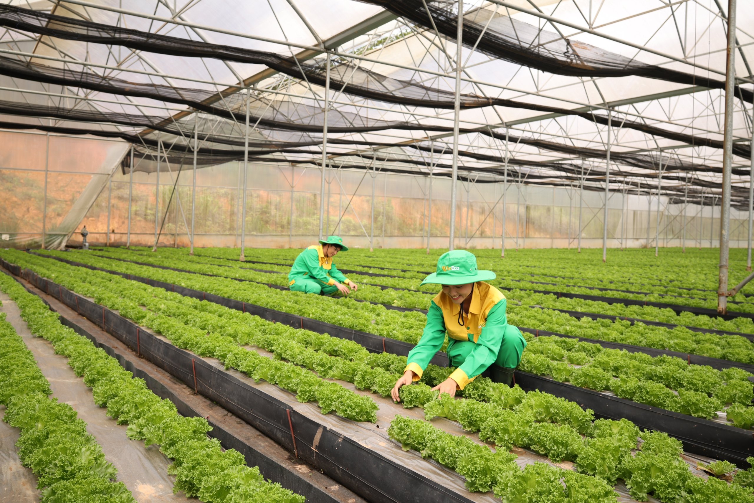 Đồng Tháp: Thúc đẩy phát triển kinh tế trong giai đoạn mới
