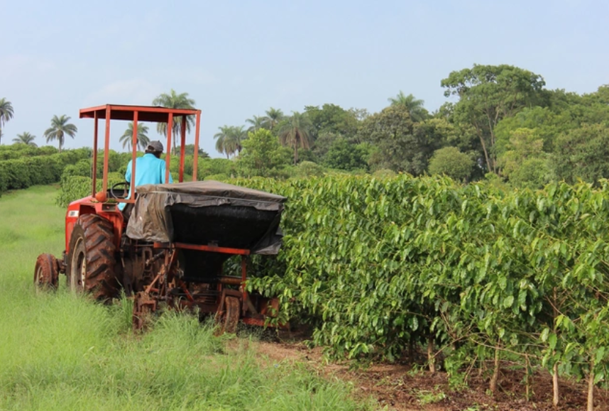 Brazil thúc đẩy nông nghiệp xanh, phục hồi hàng triệu hecta đất bạc màu
