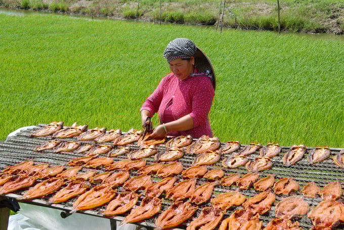 An Giang: Mở rộng thị trường tiêu thụ sản phẩm OCOP trên nền tảng số