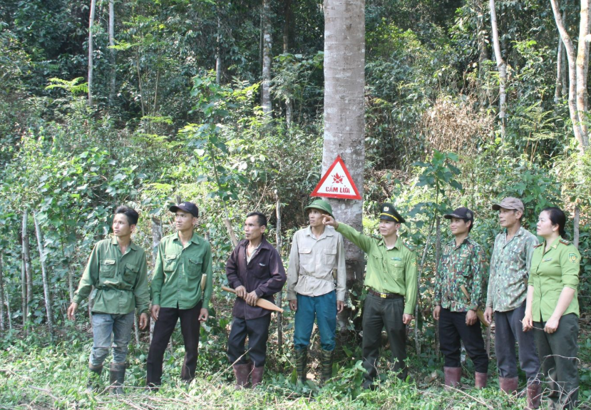Đà Nẵng: Quy định chức năng, nhiệm vụ Ban Quản lý rừng phòng hộ, rừng đặc dụng