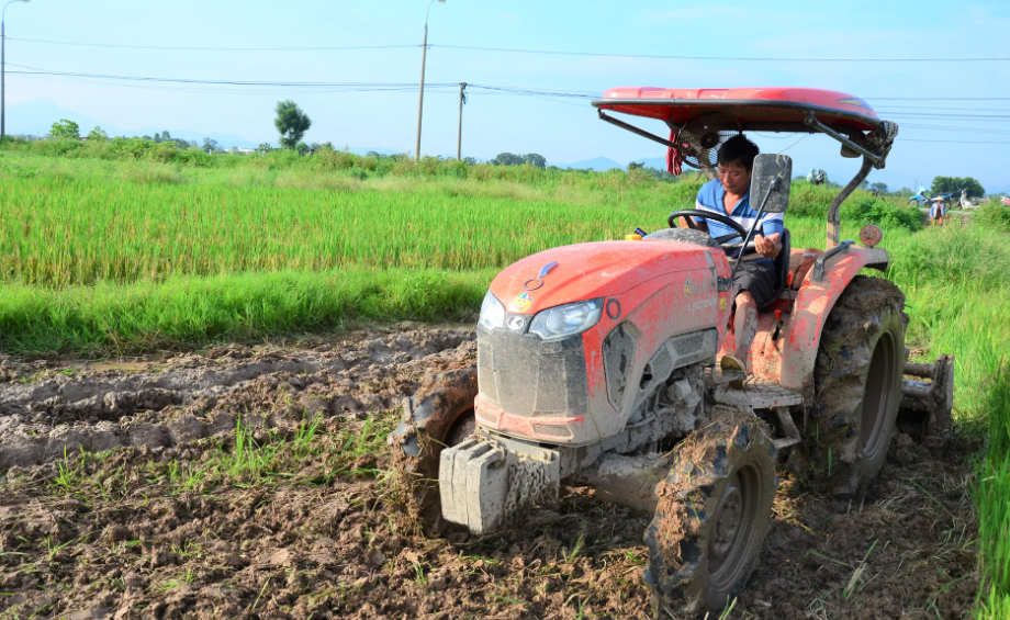 Đà Nẵng: Phê duyệt diện tích đất nông nghiệp được hỗ trợ dịch vụ công ích