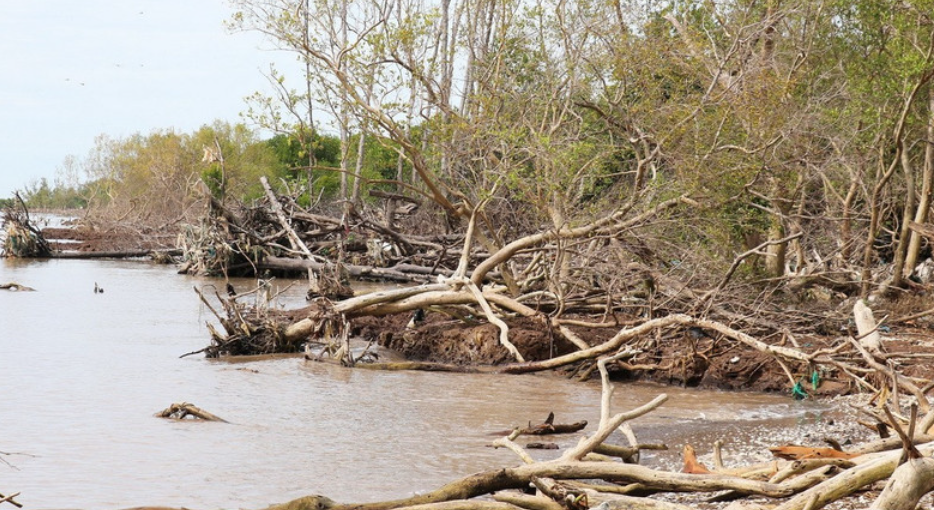 Đồng Tháp: Đầu tư gần 336 tỷ đồng chống xói lở bờ biển Gò Công