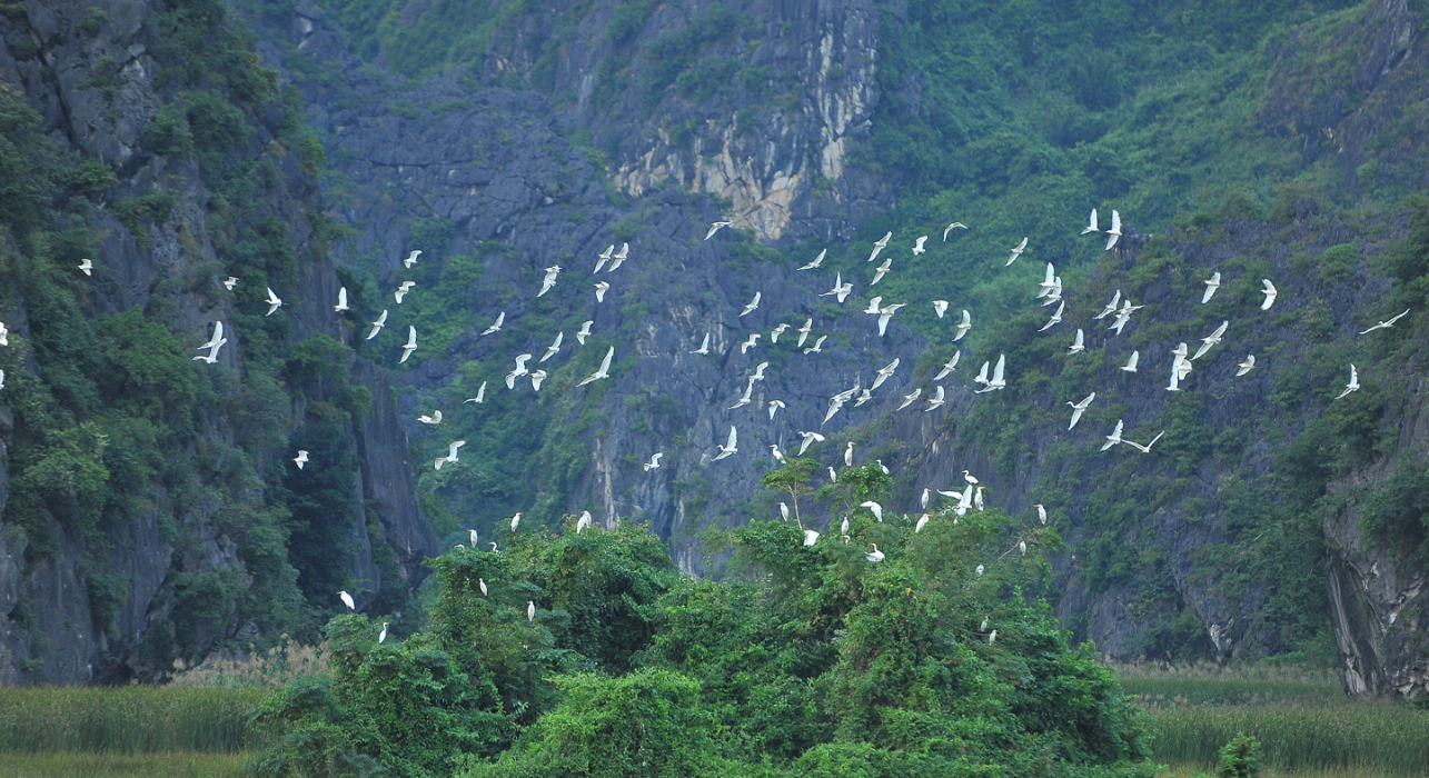 Cần Thơ: Tăng cường tuyên truyền bảo vệ động vật hoang dã và nguồn lợi thủy sản