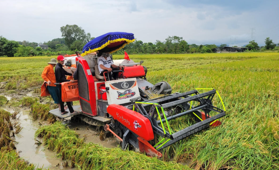 Phú Thọ đẩy mạnh cơ giới hóa trong sản xuất nông nghiệp