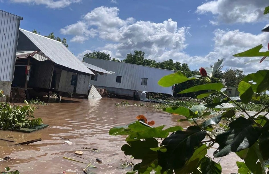 Đồng Tháp: Đầu tư 252 tỷ đồng khắc phục sạt lở bờ sông Tiền xã An Hữu