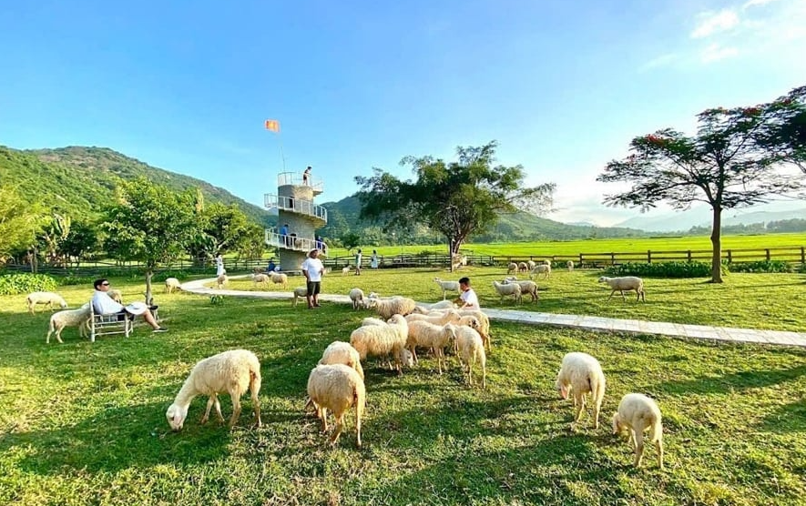 Phát triển sản phẩm du lịch nông nghiệp ở Khánh Hòa