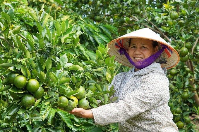 Phú Thọ: Phát triển chuỗi cung cấp thực phẩm nông lâm thủy sản an toàn