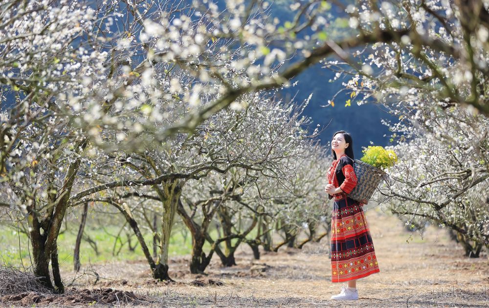 Mộc Châu tiếp tục được vinh danh ‘Điểm đến thiên nhiên khu vực hàng đầu thế giới’