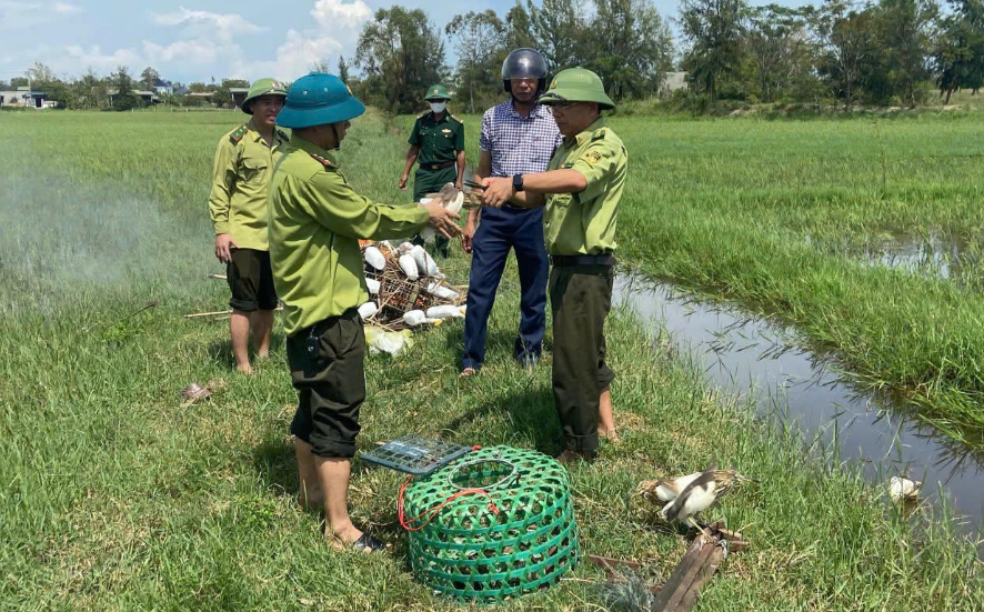 Quảng Trị siết chặt quản lý, bảo tồn đa dạng sinh học