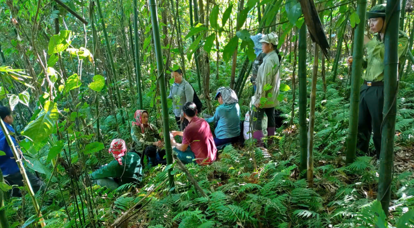 Nâng cao hiệu quả chi trả dịch vụ môi trường rừng