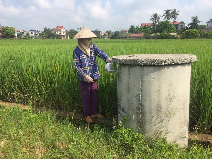 Nâng cao hiệu quả sản xuất nông nghiệp gắn với bảo vệ môi trường