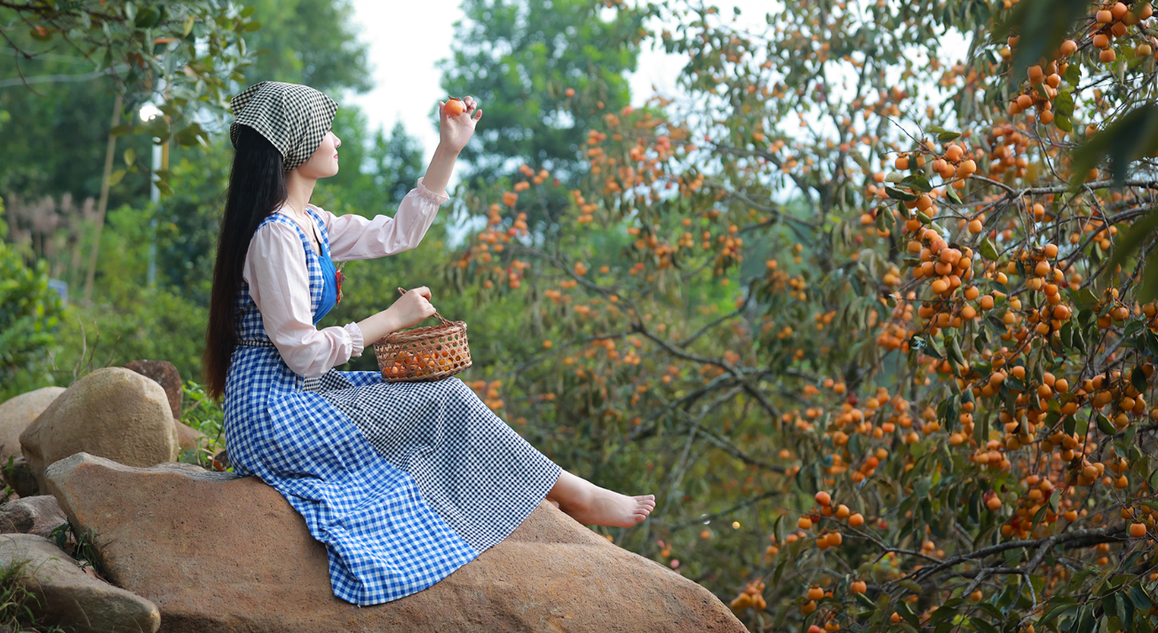 Vẻ đẹp của vườn hồng cổ thụ tại Nghệ An