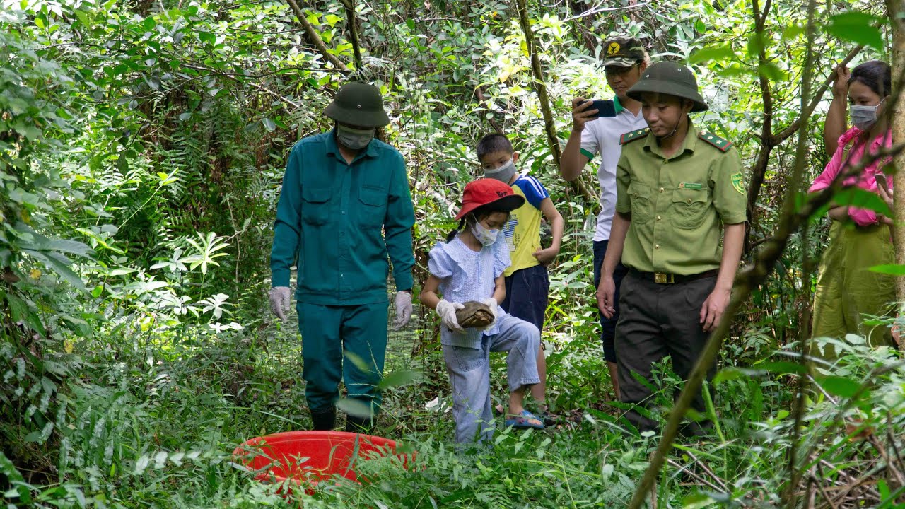 Chú trọng bảo tồn rừng và động vật hoang dã tại Vườn Quốc gia Cát Tiên
