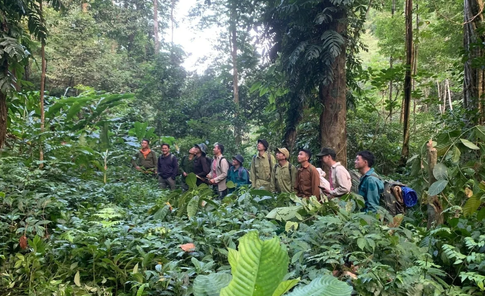 Sơn La: Triển khai đồng bộ giải pháp phòng ngừa cháy rừng mùa khô