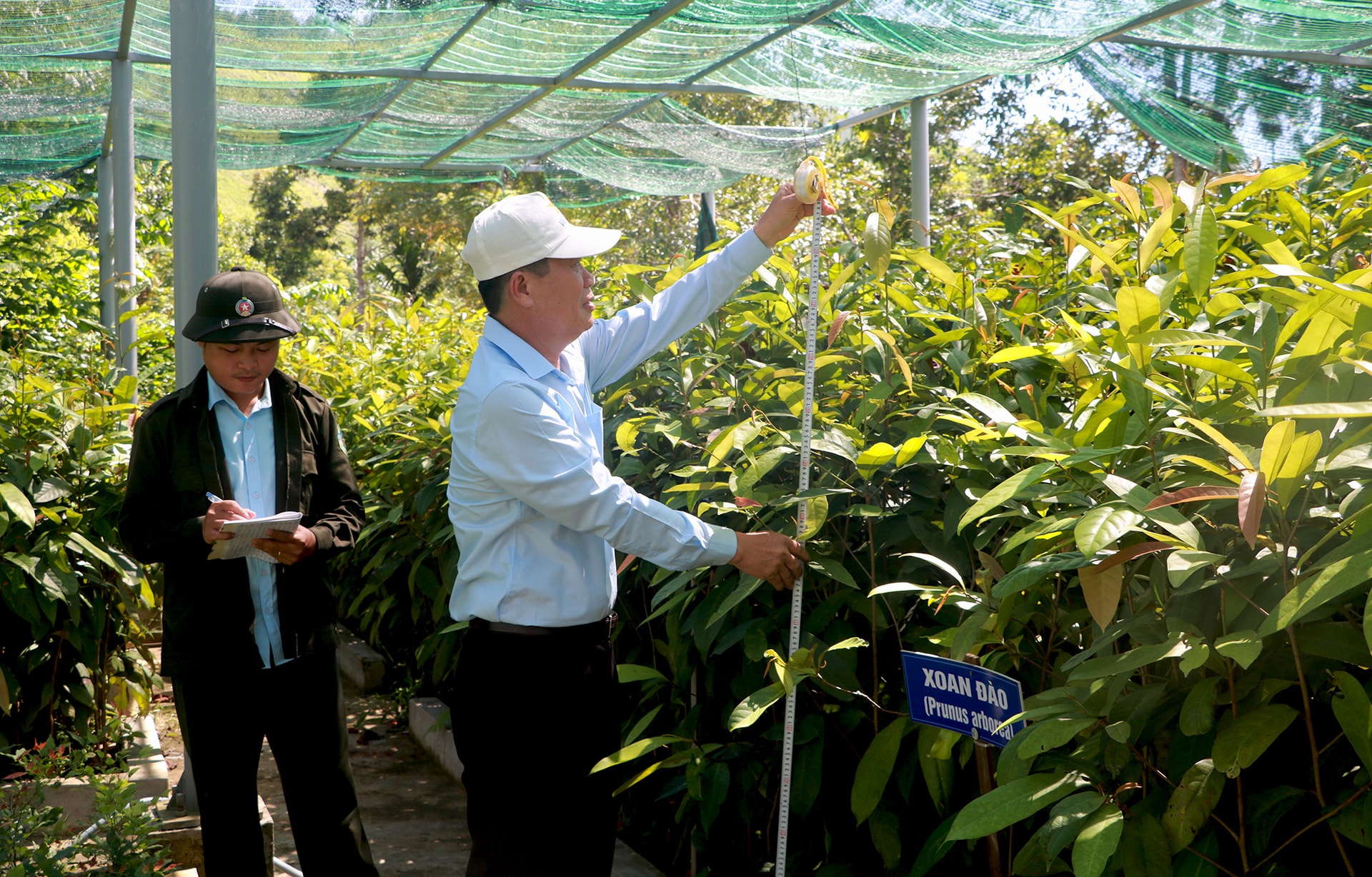 Phát triển đô thị sinh thái trên nền tảng bảo tồn nguồn gen đặc hữu