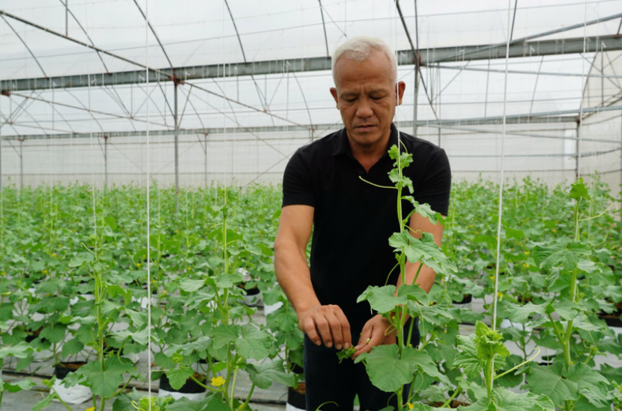 Nâng cao hiệu quả hoạt động hợp tác xã bằng công nghệ cao