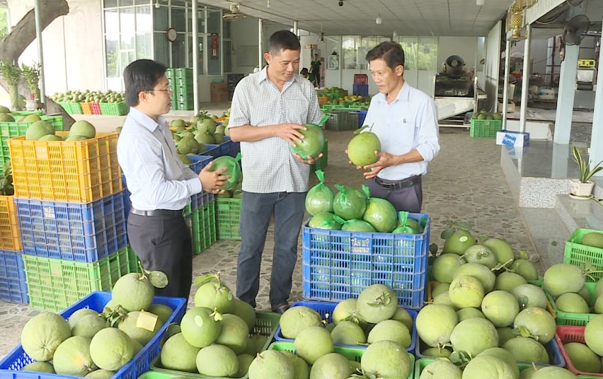 Đà Nẵng: Huy động hơn 200 tỷ đồng triển khai Chương trình OCOP