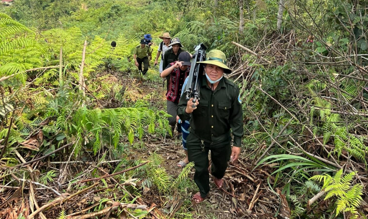 Đà Nẵng đẩy mạnh số hóa trong quản lý, bảo vệ rừng