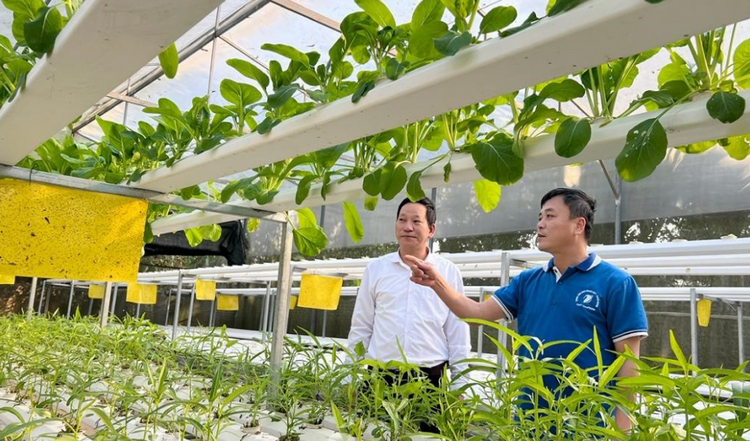 Phát triển nông nghiêp theo hướng hiện đại hoá ở Tuyên Quang