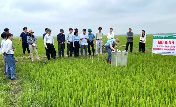 Quảng Trị: Mở rộng diện tích cây trồng giảm phát thải