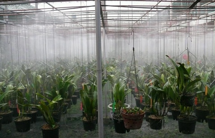 Chuyển đổi số tạo động lực phát triển nông nghiệp thông minh tại Đà Nẵng