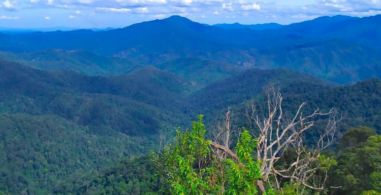 Bảo tồn đa dạng sinh học ở Khu Dự trữ sinh quyển miền Tây Nghệ An