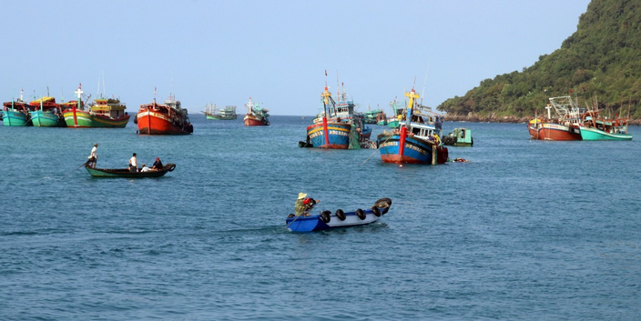 Khai thác gắn với bảo tồn - hướng đi bền vững cho nghề cá Hà Tĩnh