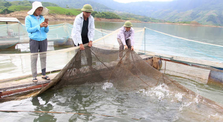 Phát huy tiềm năng, nâng cao giá trị nuôi trồng thủy sản