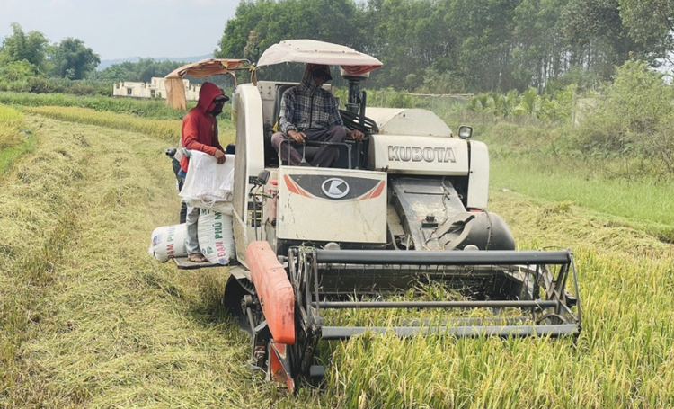 Công nghệ số thúc đẩy nông nghiệp Quảng Ngãi phát triển đột phá