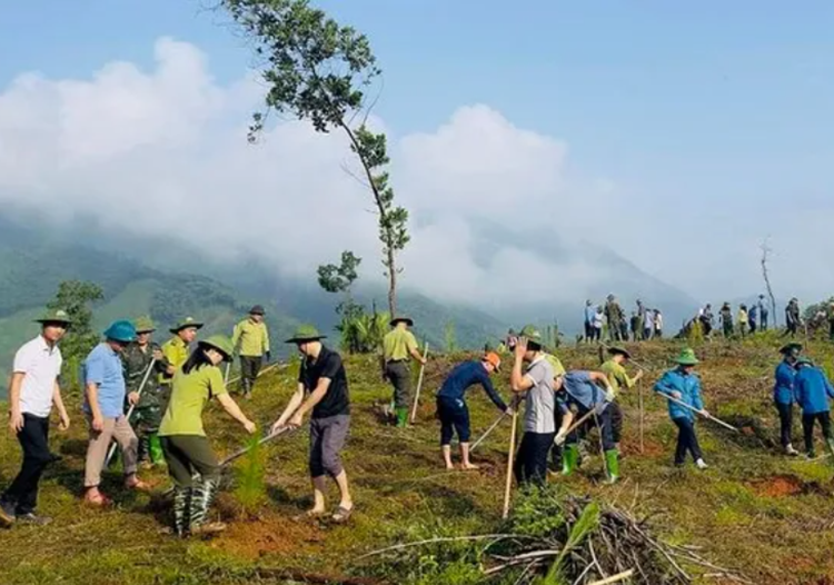 Trấn Yên (Yên bái): Trồng gần 3.000 cây xanh phục hồi rừng sau bão