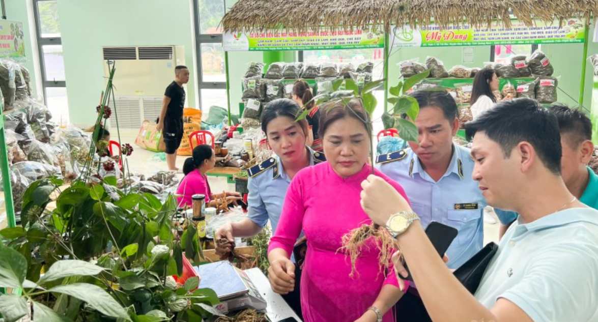 Lễ hội sâm Ngọc Linh ở Nam Trà My đạt doanh thu hơn 5 tỷ đồng
