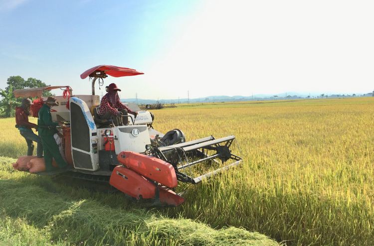 Vĩnh Long: Ứng dụng công nghệ hiện đại, phát triển nông nghiệp
