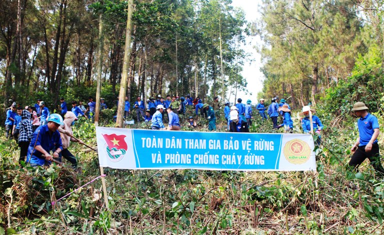 Phú Thọ: Chủ động ứng phó nguy cơ cháy rừng