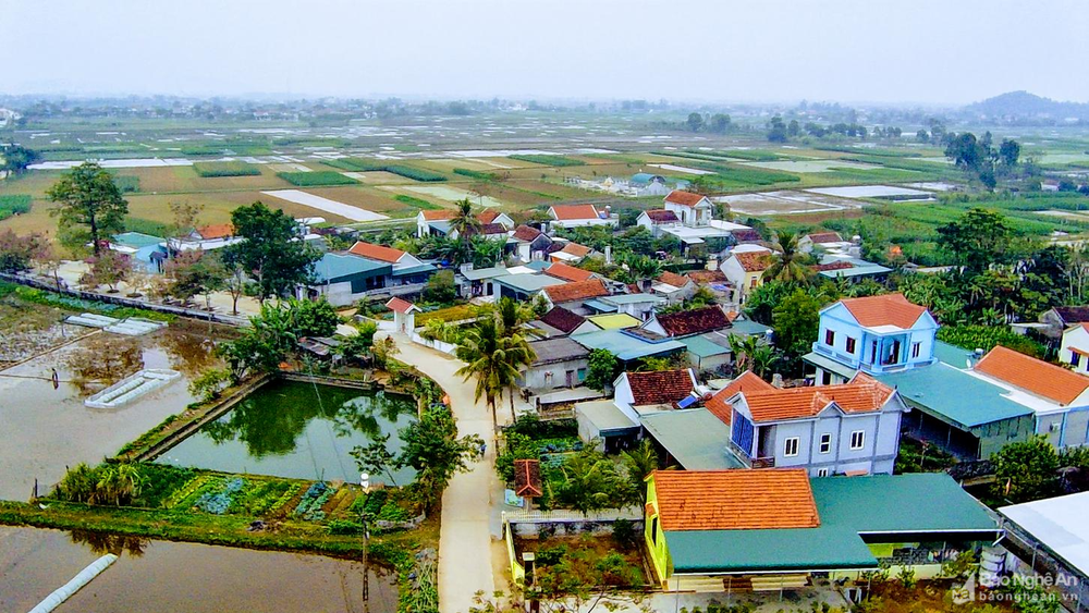 Chú trọng xây dựng vùng nông thôn hiện đại, thông minh