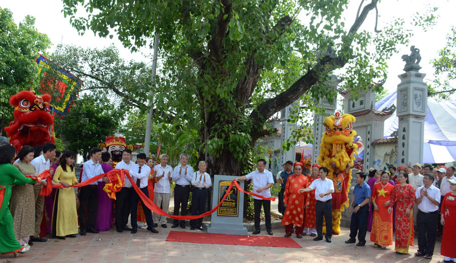 Hà Nội: Thêm 3 cây cổ thụ được công nhận Cây Di sản Việt Nam