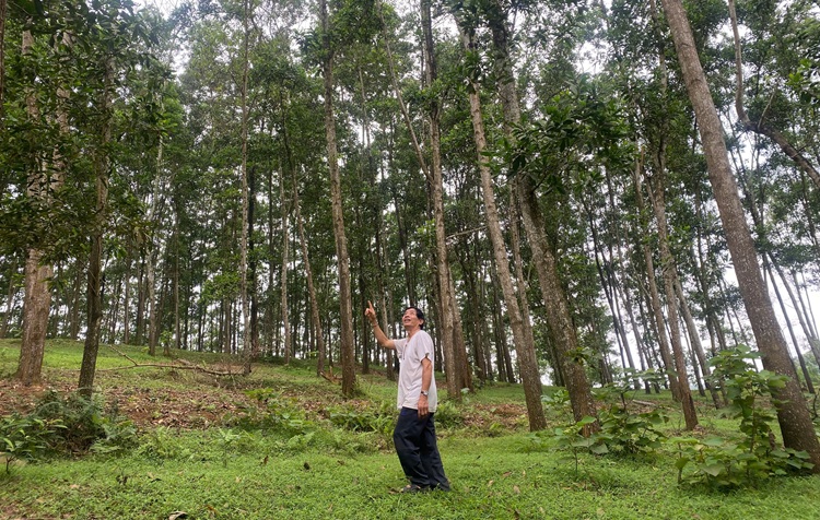 “Sống khỏe” nhờ rừng