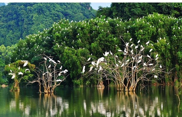 Bảo tồn đa dạng sinh học, thúc đẩy phát triển bền vững ở Bình Dương
