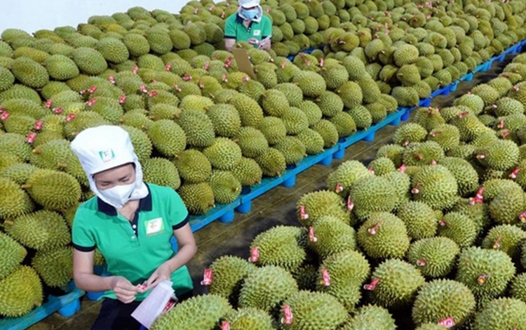 Kiểm soát, nâng cao chất lượng nông, lâm, thủy sản