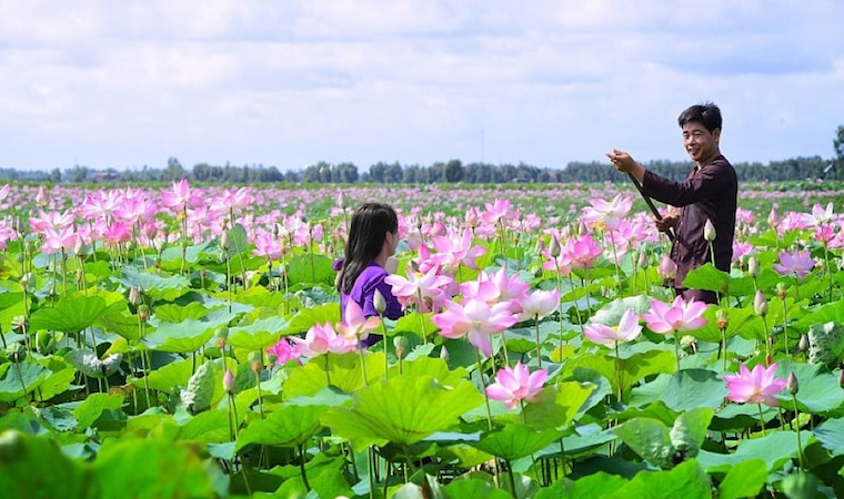Đồng Tháp chú trọng khai thác tiềm năng, tạo điểm nhấn du lịch mới