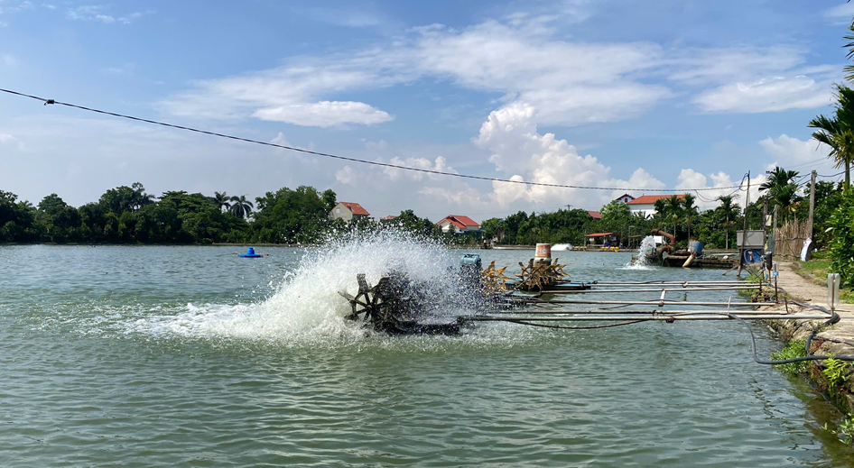 Ứng dụng công nghệ cao trong nuôi trồng thủy sản
