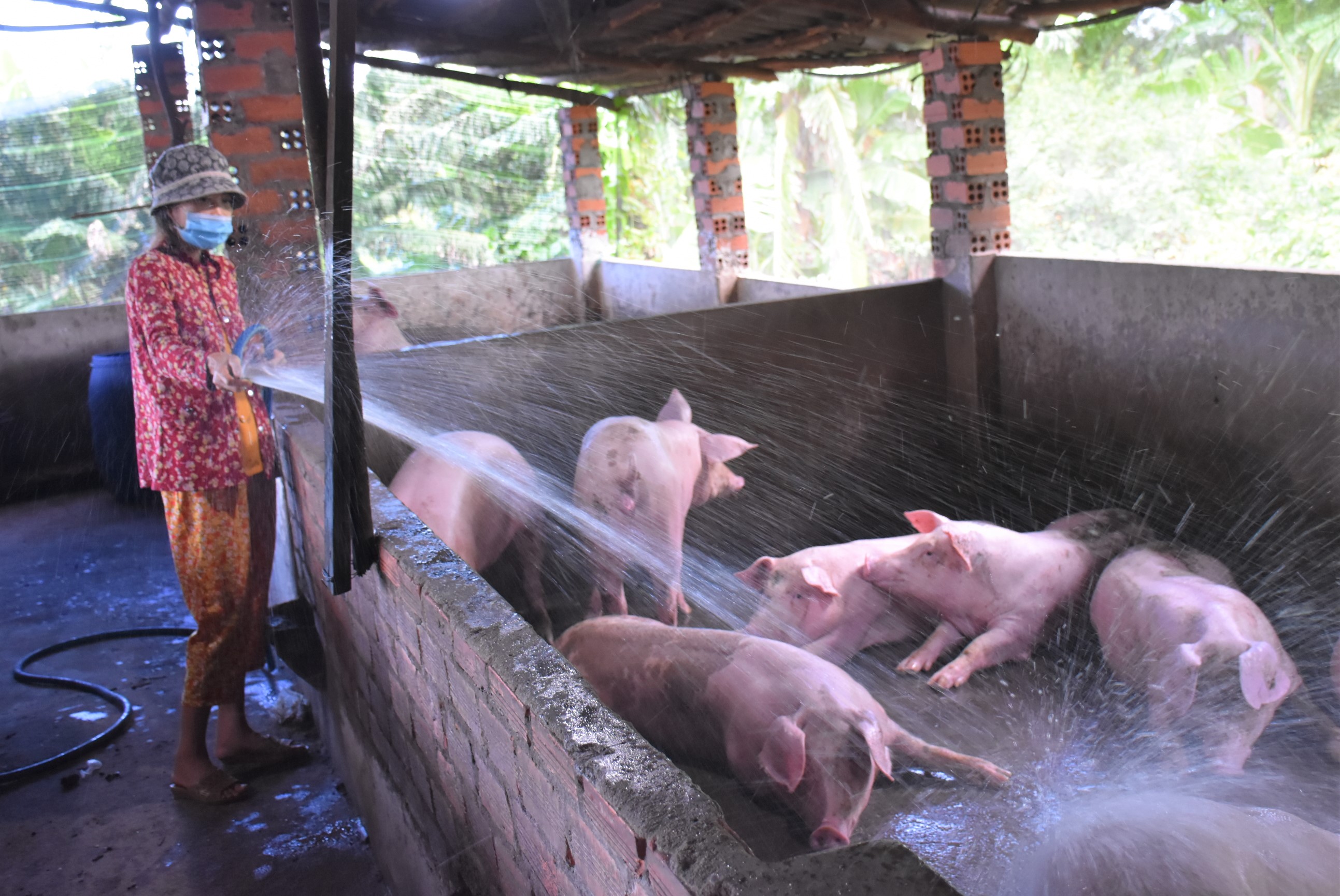 Tập trung phòng chống dịch bệnh, đảm bảo an toàn cho đàn vật nuôi