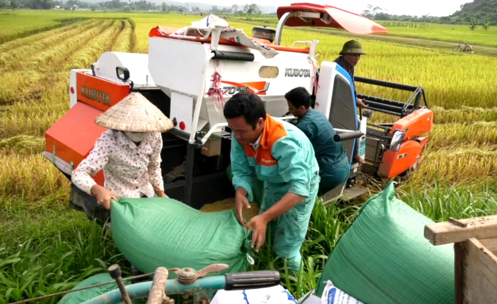 Hà Nội chuẩn hóa dịch vụ công nông nghiệp bằng bộ tiêu chí mới